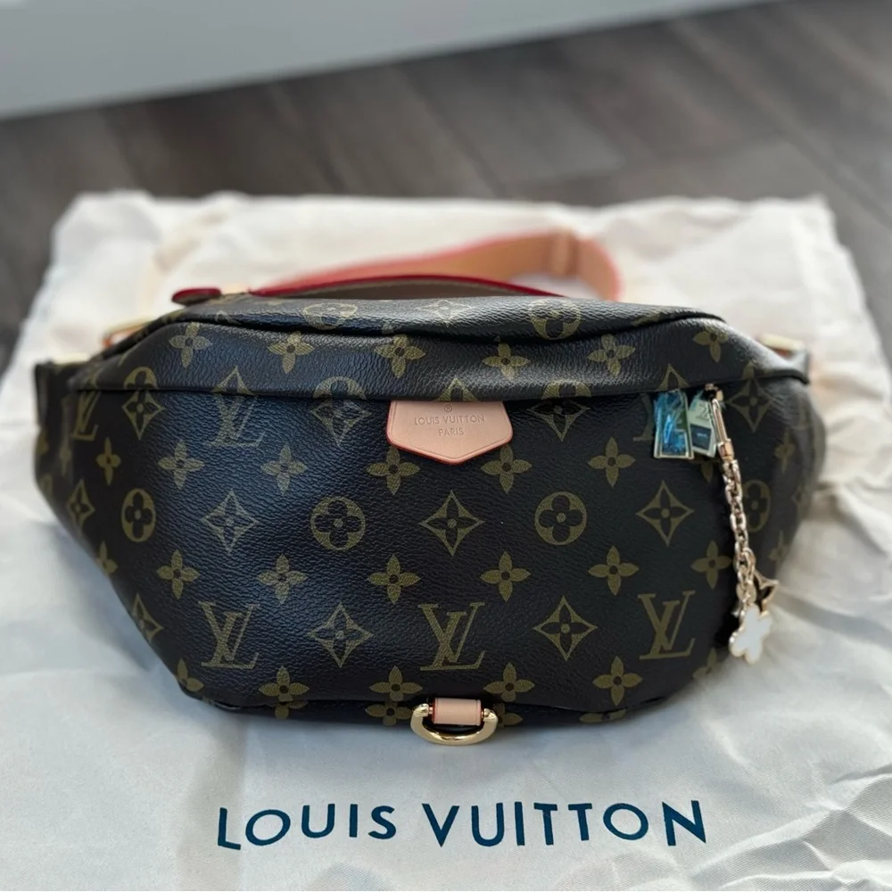Louis Vuitton Monogram Bumbag (Read Description) - Picture 2 of 10